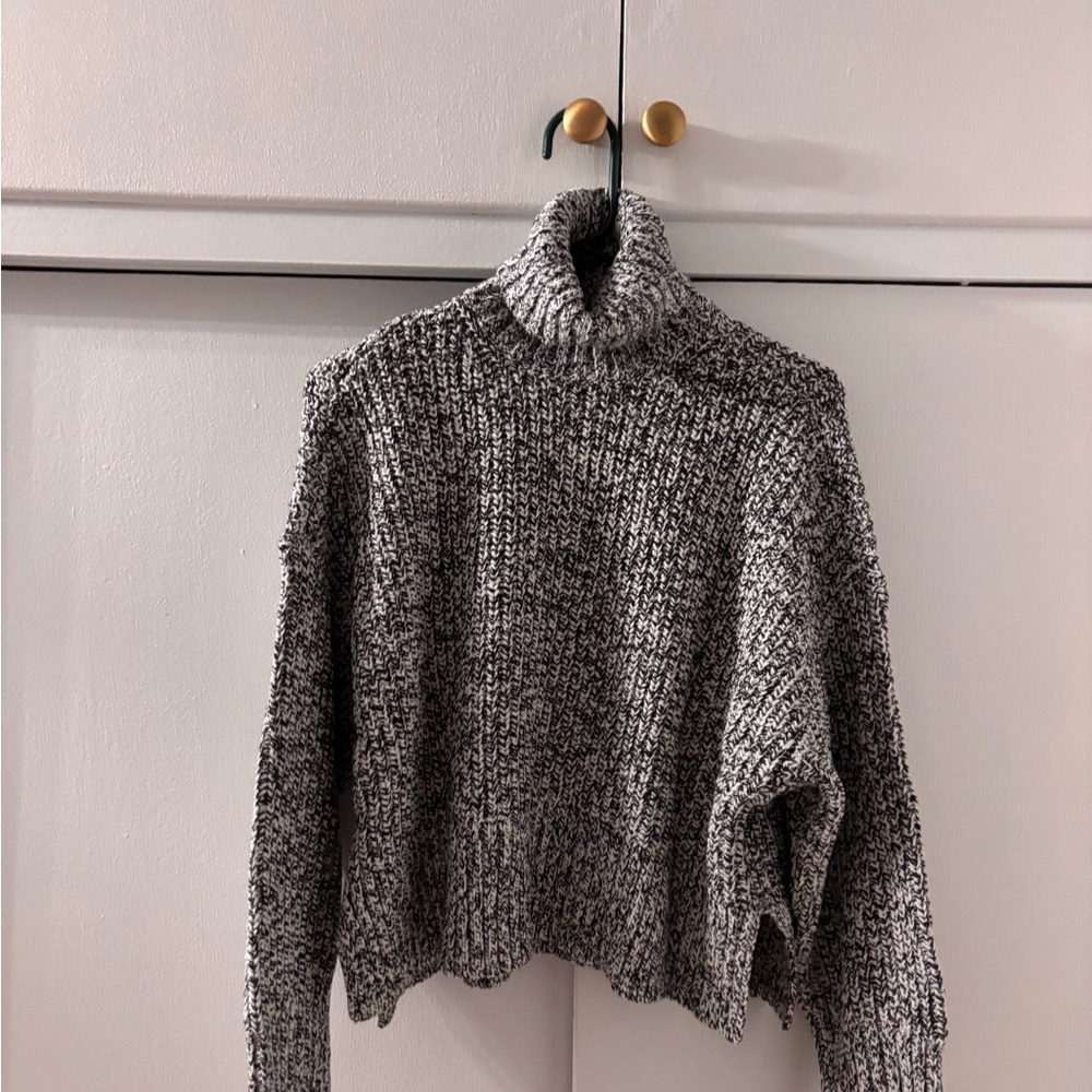 Madewell Black and White Turtleneck Sweater